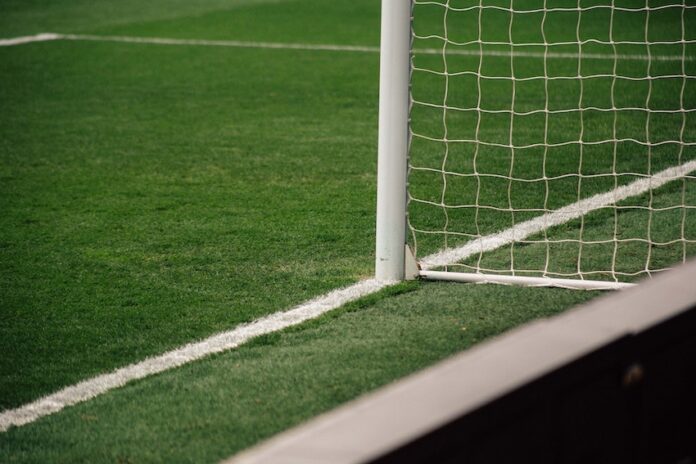 scommesse sportive scommesse sportive